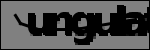 Texto para identificar