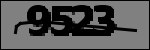Texto para identificar
