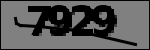 Texto para identificar