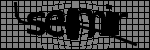 Texto para identificar