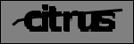 Texto para identificar