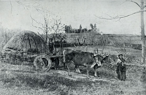 Imaxe dun carro de bois